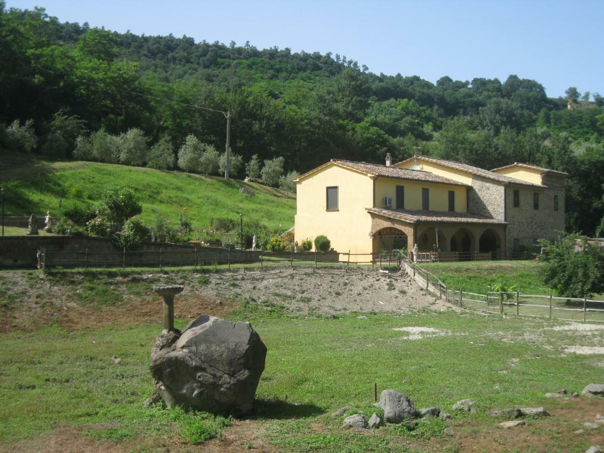 Alloggio Turistico Mooneyes Apartment Castiglione In Teverina Exterior photo