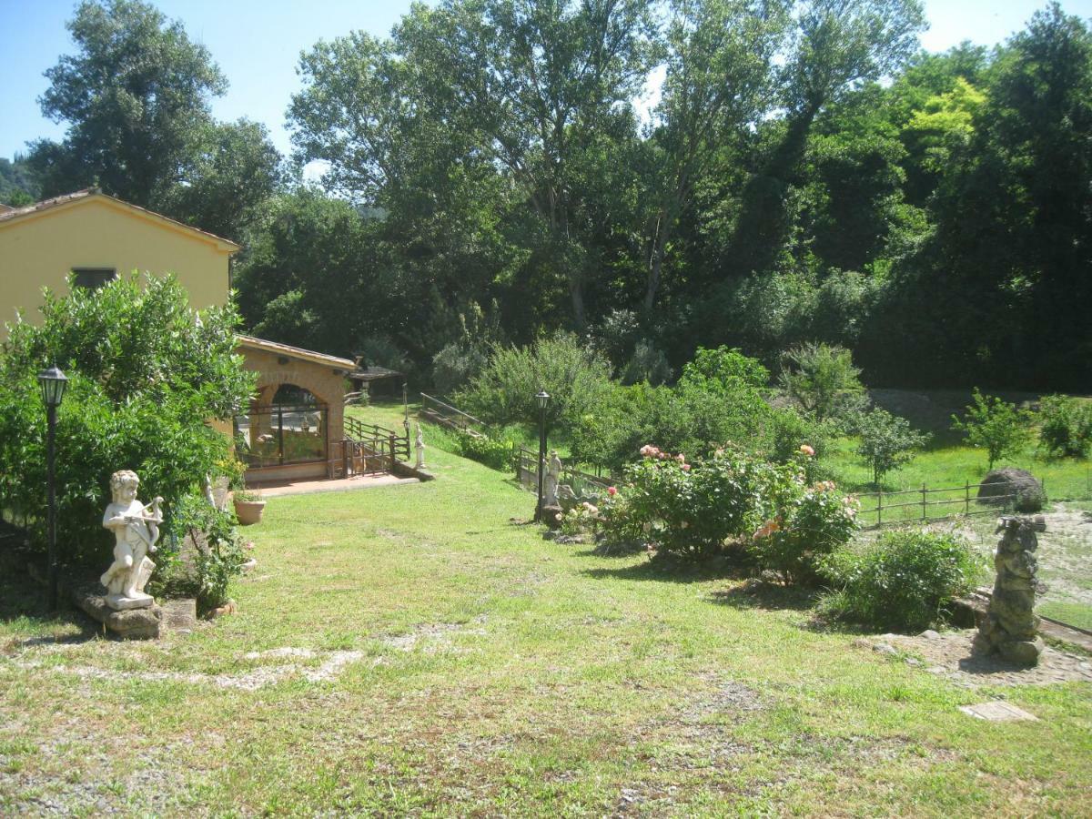 Alloggio Turistico Mooneyes Apartment Castiglione In Teverina Exterior photo