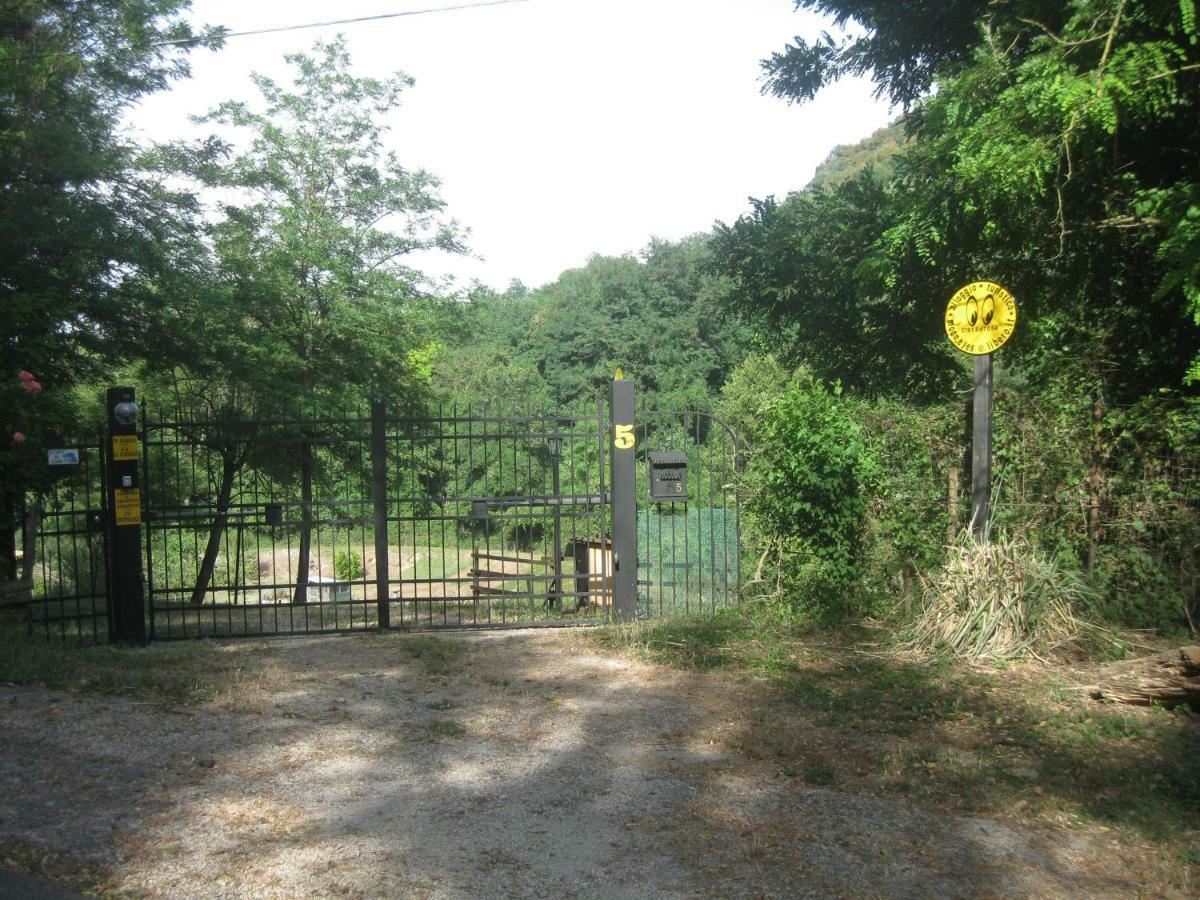 Alloggio Turistico Mooneyes Apartment Castiglione In Teverina Exterior photo